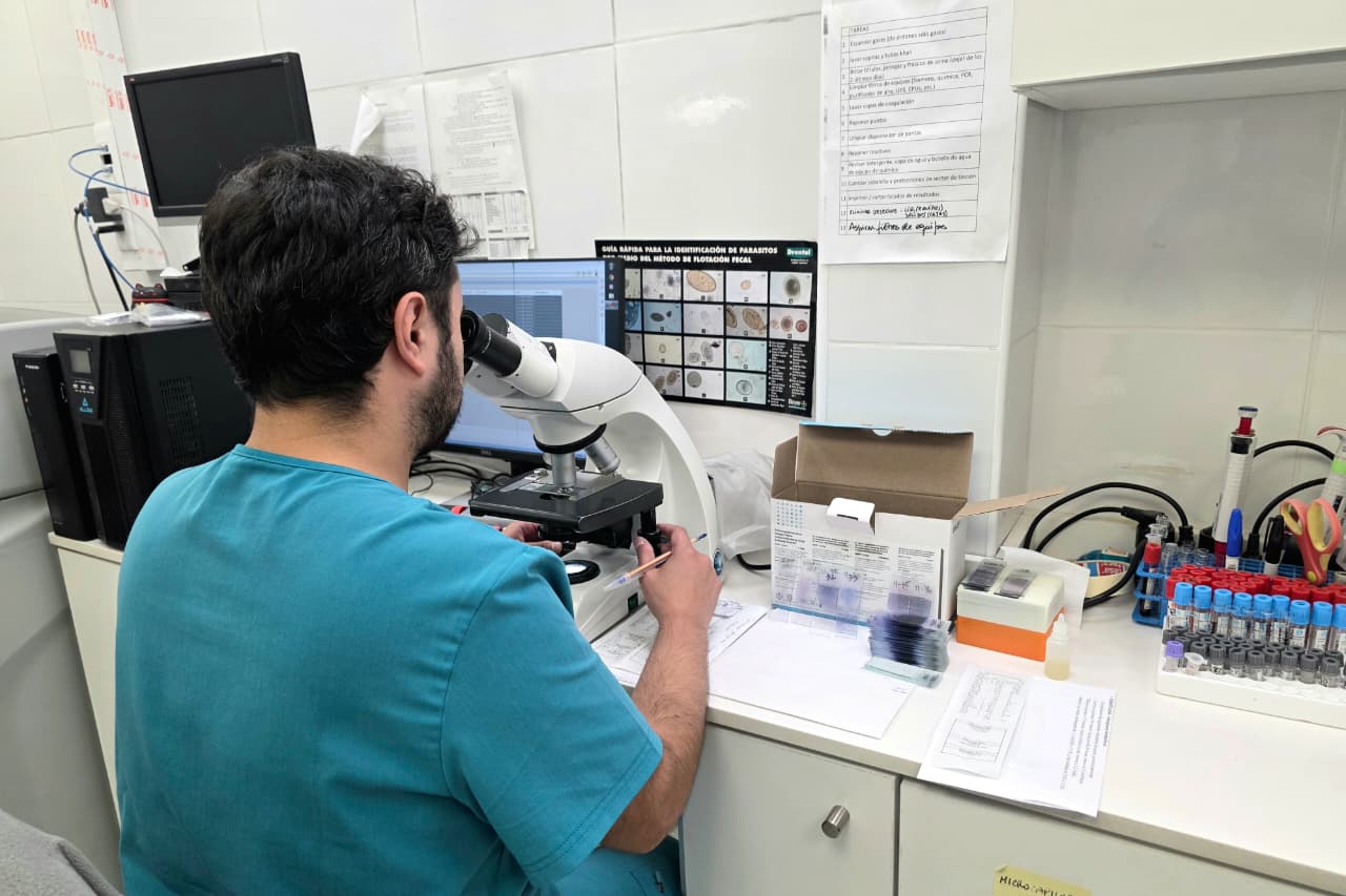 Imagen de vista previa